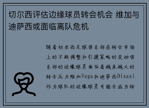 切尔西评估边缘球员转会机会 维加与迪萨西或面临离队危机