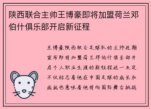 陕西联合主帅王博豪即将加盟荷兰邓伯什俱乐部开启新征程